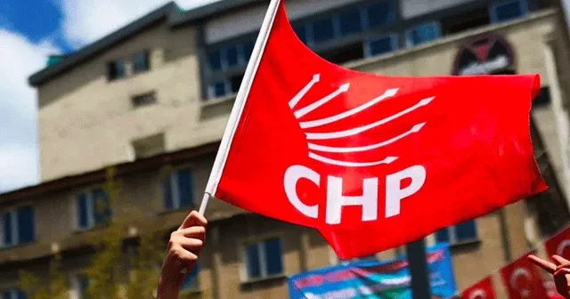 Taşıyıcı koalisyonlar ve ormanın içindeki CHP